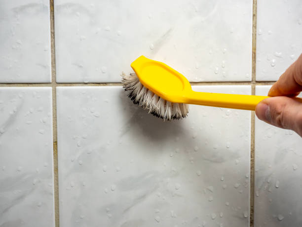 Best Emergency Mold Removal  in Grove Hill, AL