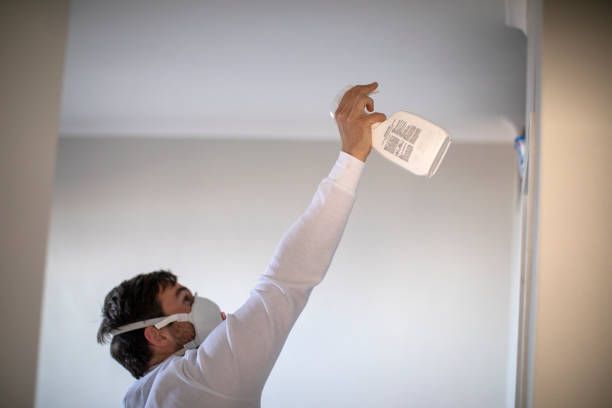 Grove Hill, AL Mold Removal Company