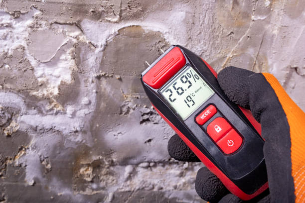 Best Home Mold Removal  in Grove Hill, AL