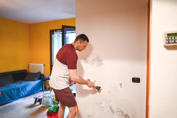 Best Mold Testing  in Grove Hill, AL